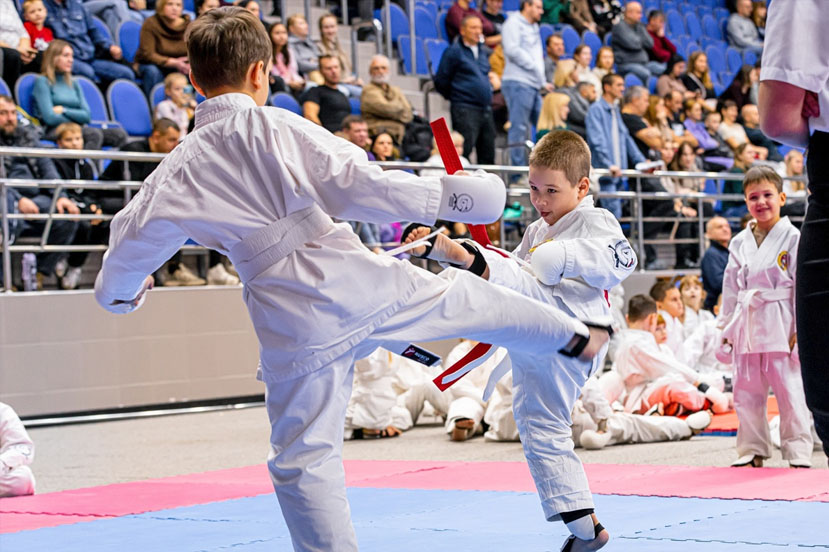 vsestilevoe_karate
